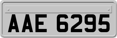 AAE6295