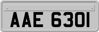 AAE6301