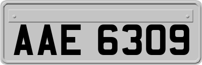 AAE6309