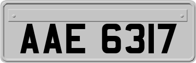 AAE6317