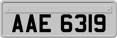 AAE6319