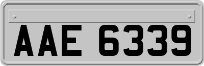 AAE6339