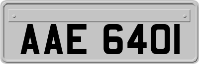 AAE6401