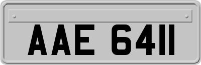 AAE6411