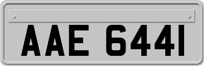 AAE6441