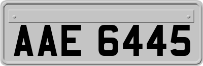 AAE6445