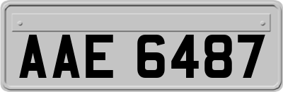 AAE6487