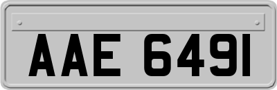 AAE6491