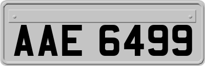 AAE6499