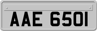 AAE6501