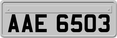 AAE6503