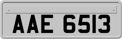 AAE6513