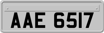 AAE6517