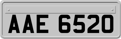 AAE6520