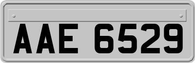 AAE6529