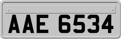 AAE6534