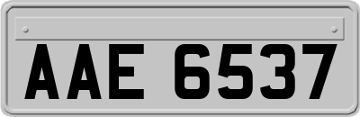 AAE6537