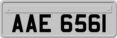 AAE6561