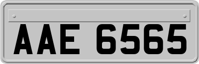 AAE6565