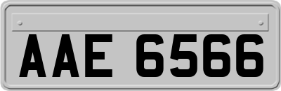 AAE6566