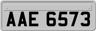 AAE6573