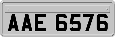 AAE6576