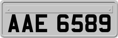 AAE6589