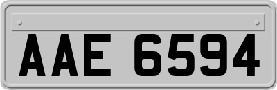 AAE6594