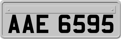 AAE6595