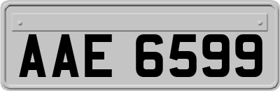 AAE6599