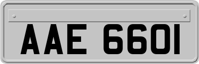 AAE6601