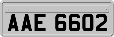 AAE6602