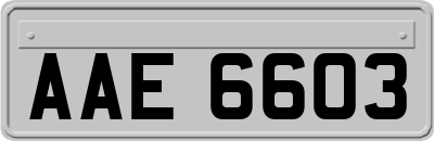 AAE6603