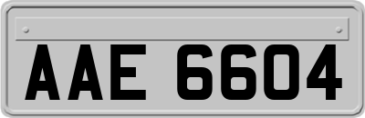 AAE6604