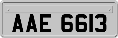 AAE6613