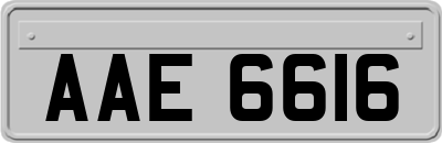 AAE6616