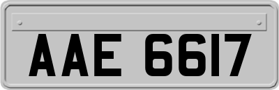 AAE6617