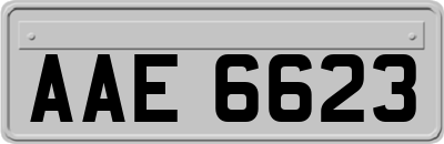 AAE6623