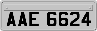 AAE6624