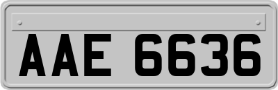 AAE6636