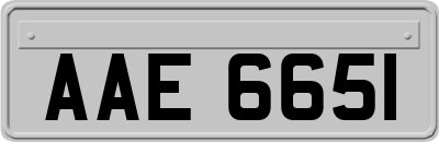 AAE6651