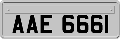 AAE6661