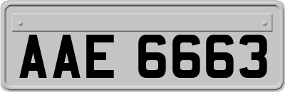 AAE6663