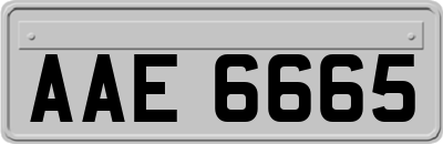 AAE6665