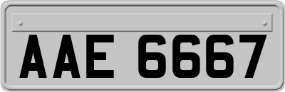 AAE6667