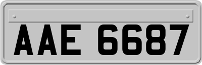 AAE6687