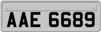 AAE6689