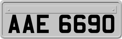 AAE6690