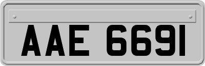 AAE6691