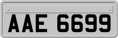 AAE6699